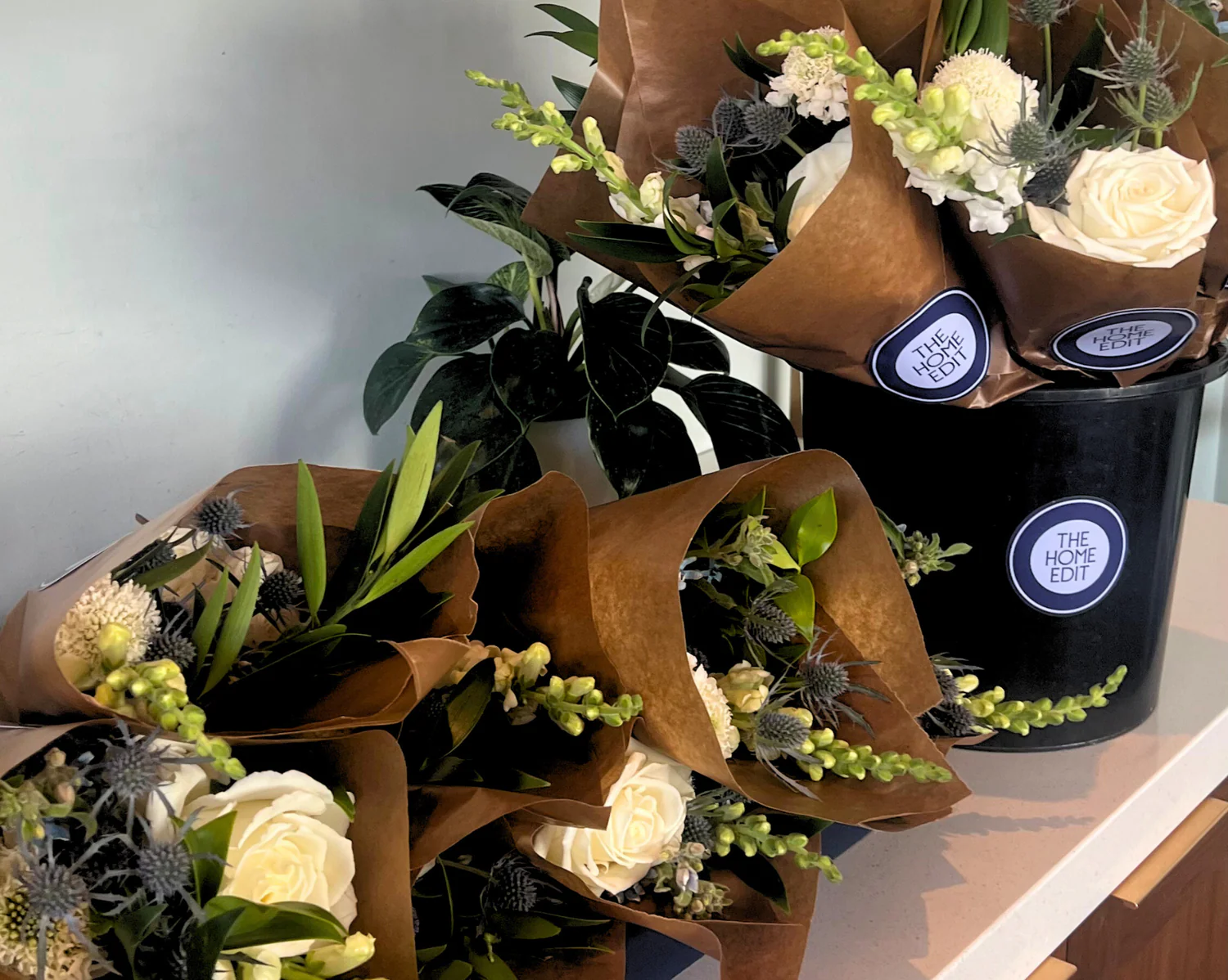 Master Your Space Today